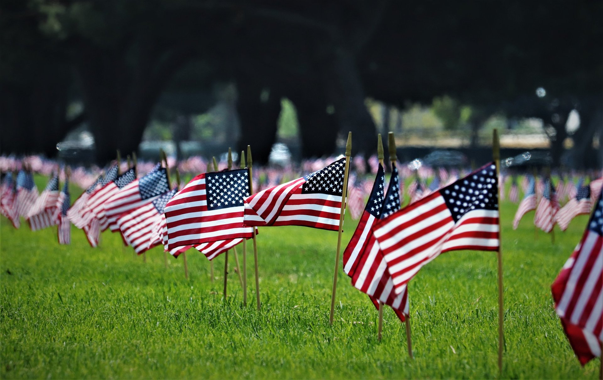 Memorial Day ceremony with flags and patriotic display