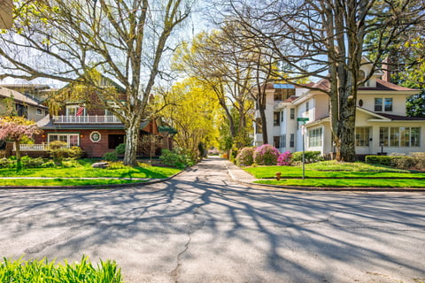 Picturesque tree lined streets at early Spring in a historic neighborhood