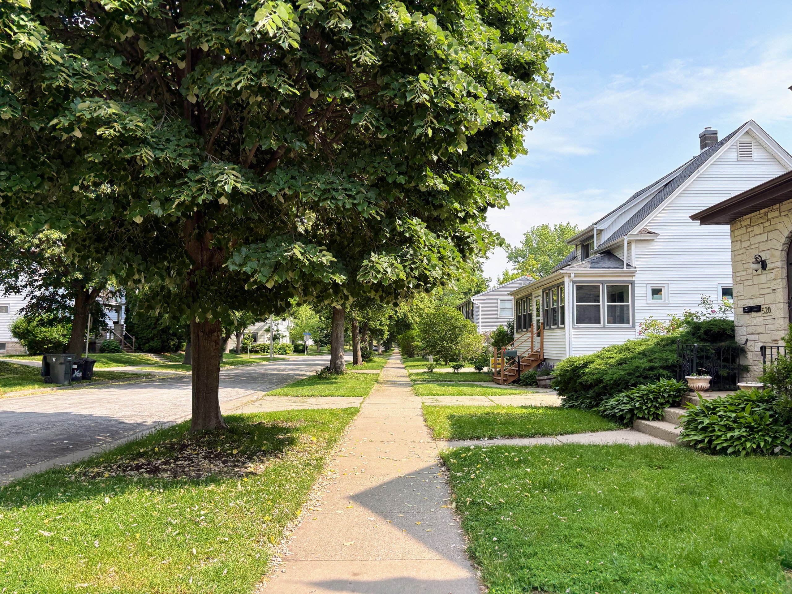 Neighborhood view