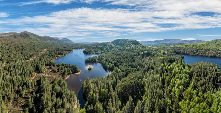Mountain and forest landscape with lake