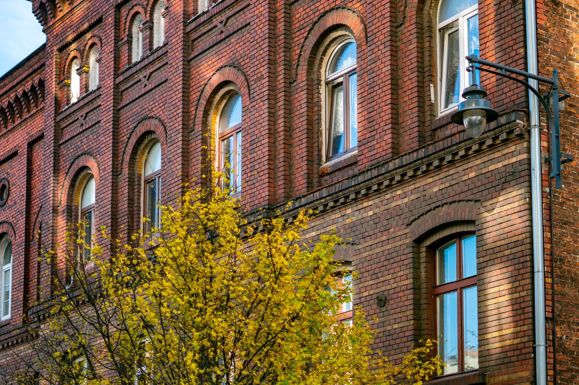 Brick building with arched windows and decorative architectural details, yellow autumn tree leaves in the foreground within an urban environment