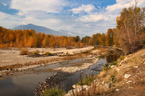 Hamilton is in the Bitterroot Valley in Southwestern Montana.  The Bitterroot River runs through the Bitterroot Valley amidst the aspens and the cottonwoods with many trails for walking and biking.